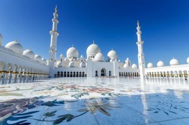 Dubai sightseeing private Falcon Hospital tour with Sheikh Zayed Mosque visit